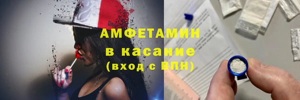 стаф Бородино