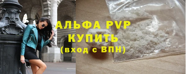 стаф Бородино