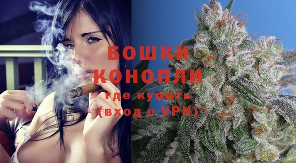 стаф Бородино