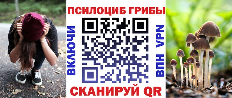 Псилоцибиновые грибы Psilocybine cubensis Нурлат